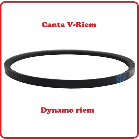 V-snaar Dynamo Canta